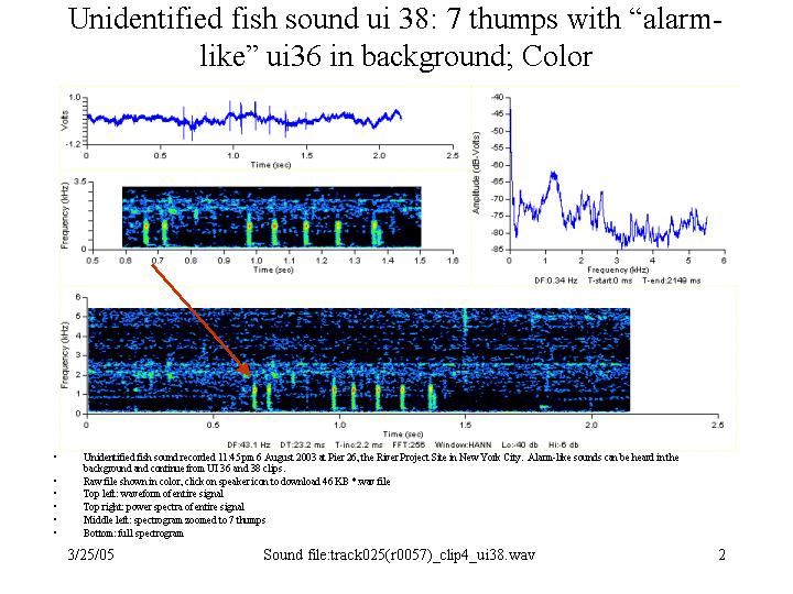 Alarm-like and thumps